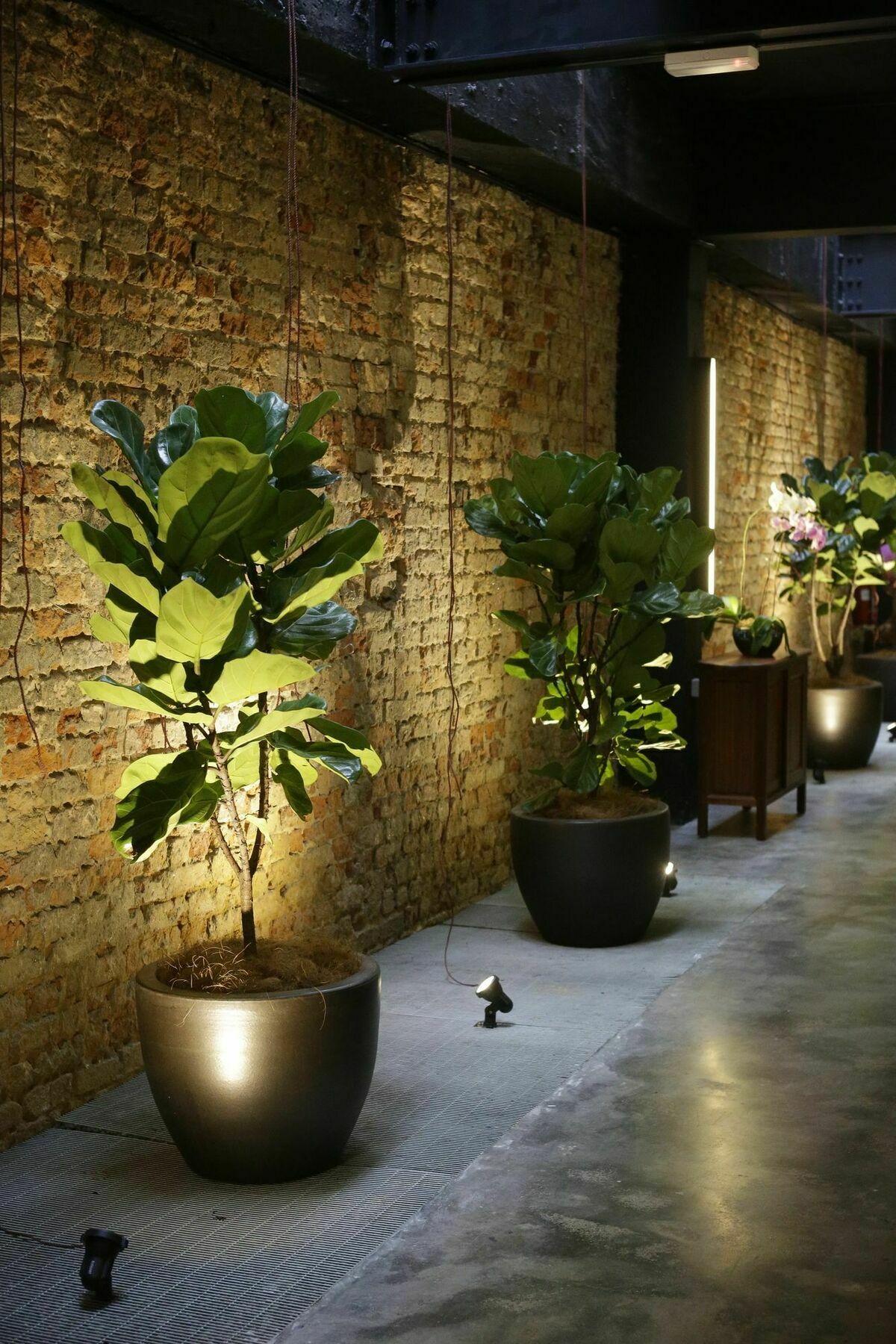 Tian Jing Hotel Kuala Lumpur Exteriér fotografie